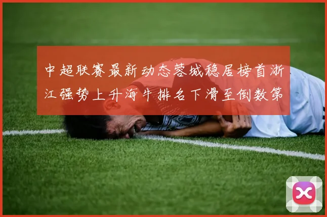 中超联赛最新动态蓉城稳居榜首浙江强势上升海牛排名下滑至倒数第三